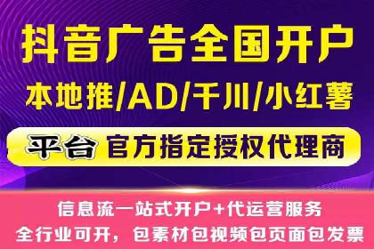 百度SEO推广公司案例分享：行业佼佼者经验